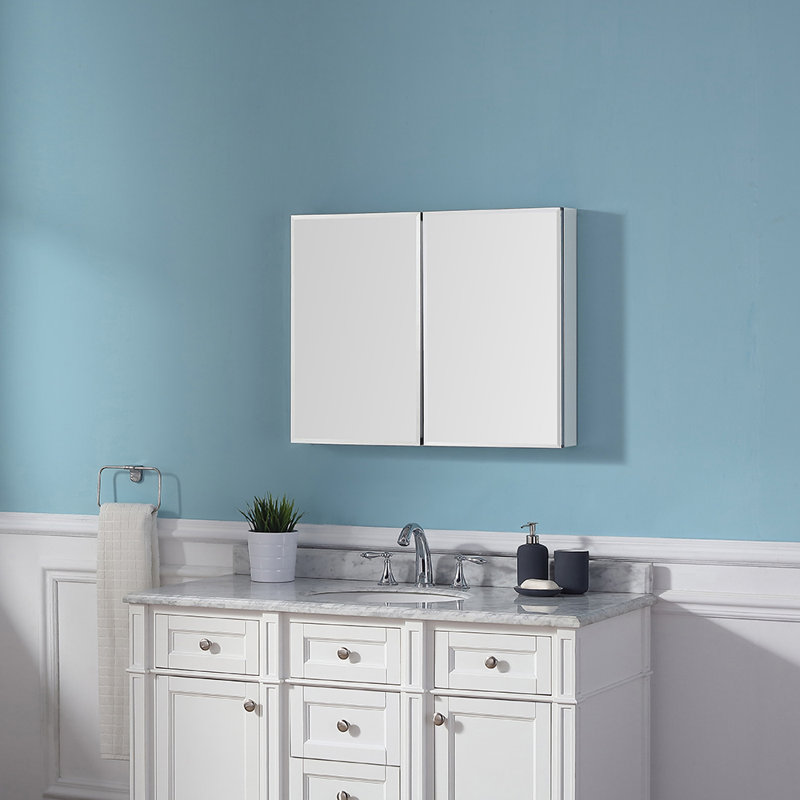 Ove Decors Galway 30" x 5" Surface Mount Frameless Medicine